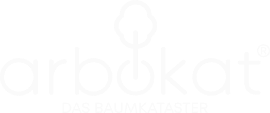 Arbokat Logo